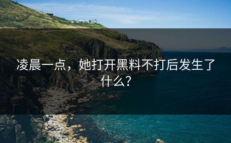 凌晨一点，她打开黑料不打后发生了什么？
