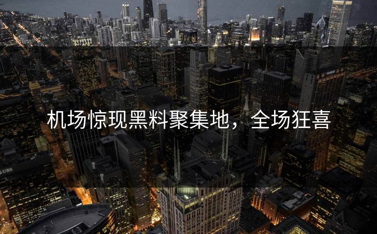 机场惊现黑料聚集地，全场狂喜