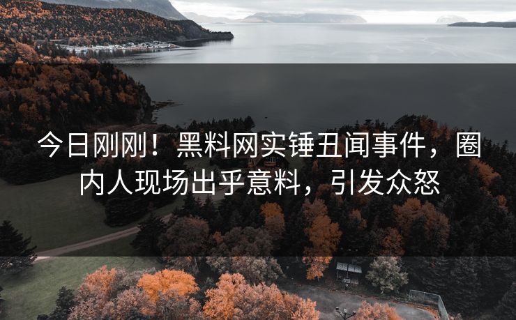 今日刚刚！黑料网实锤丑闻事件，圈内人现场出乎意料，引发众怒