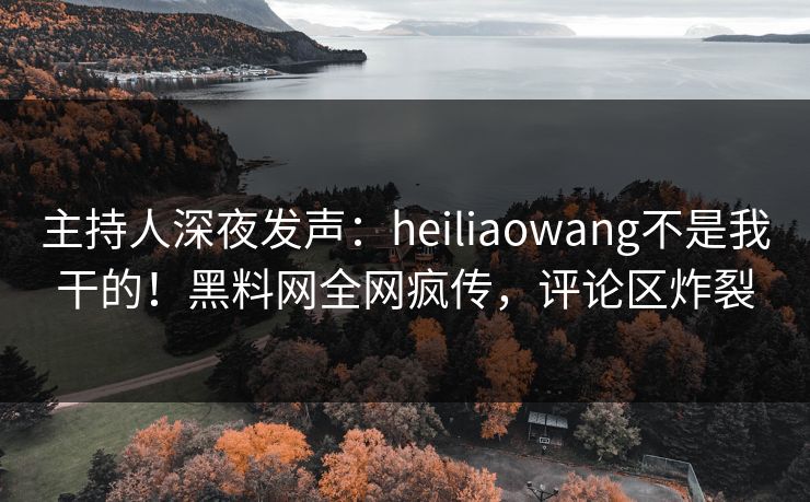 主持人深夜发声：heiliaowang不是我干的！黑料网全网疯传，评论区炸裂