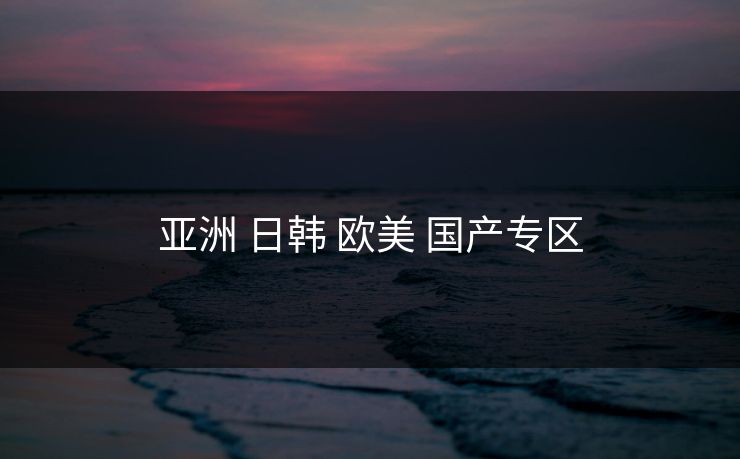 亚洲 日韩 欧美 国产专区